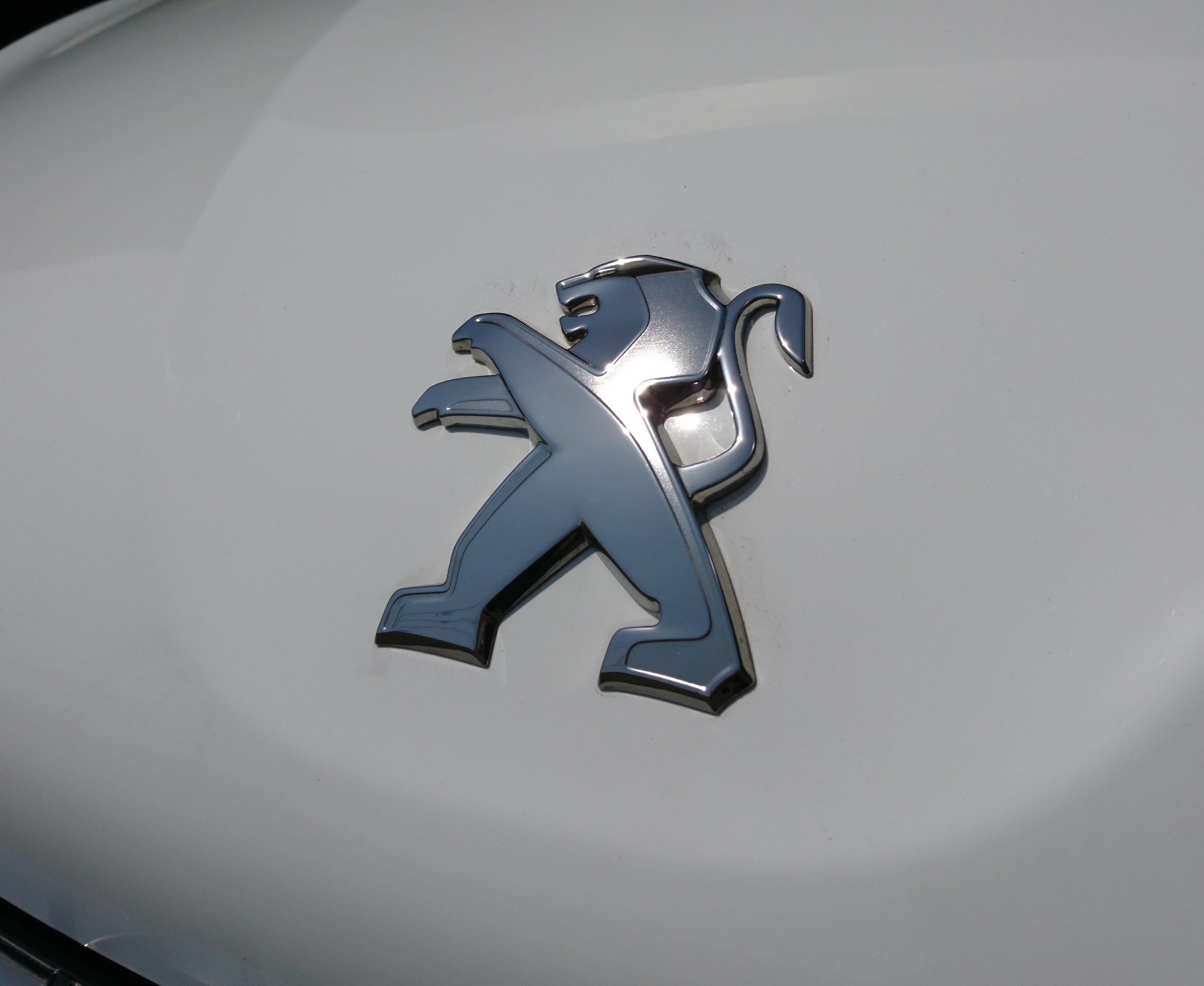 2008 Premium納車させていただきました。