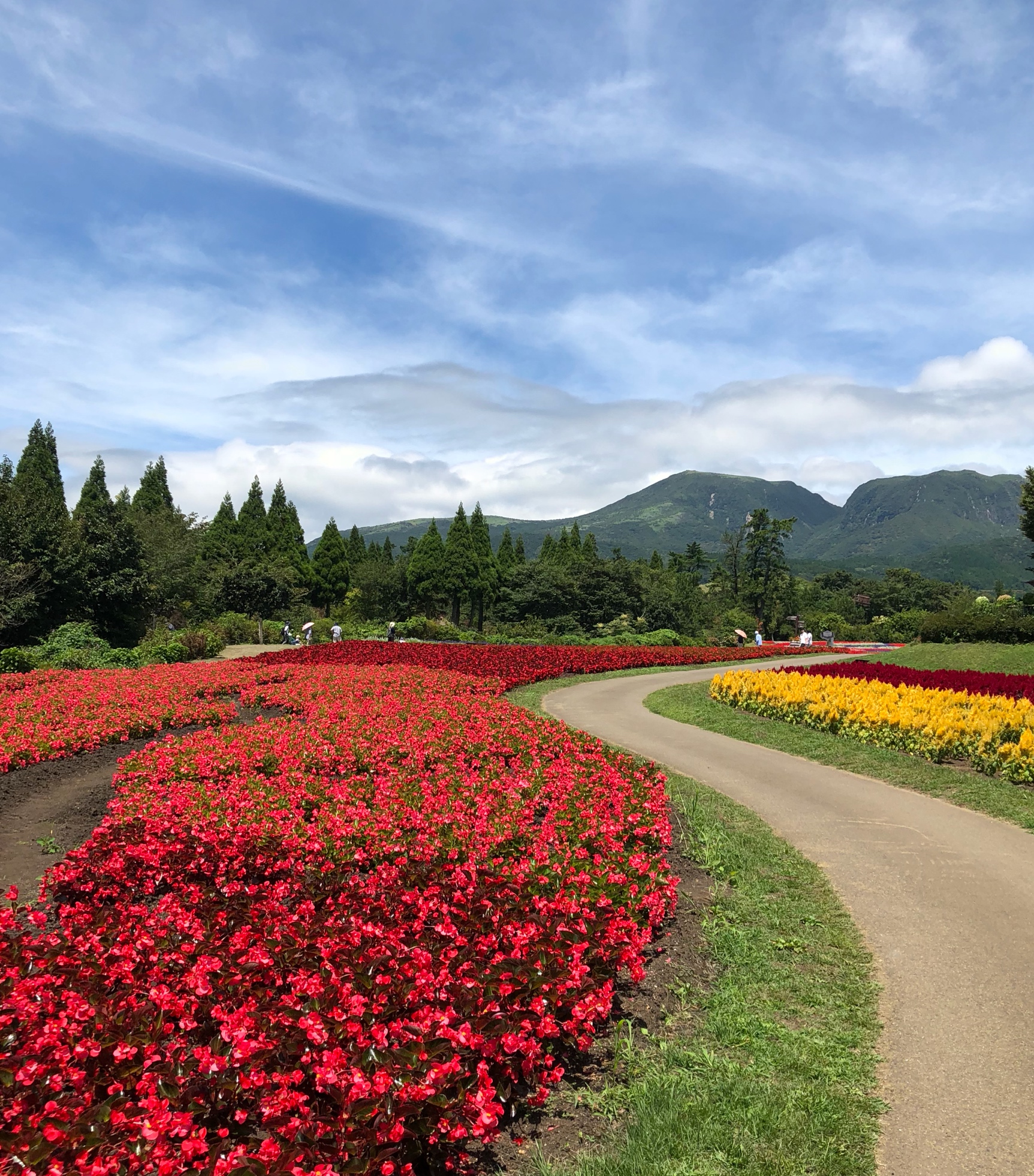 大分県へGO♡