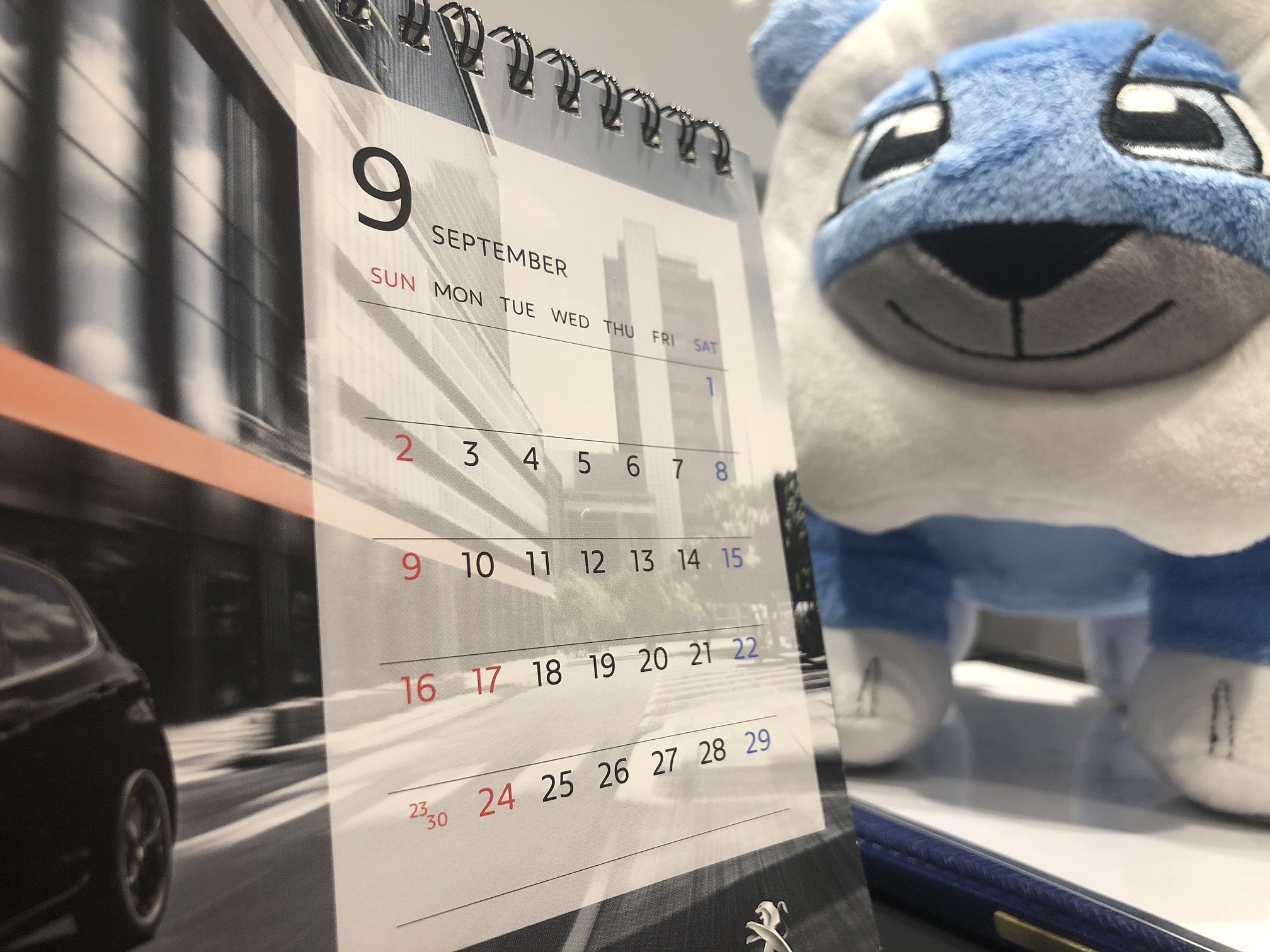 少し営業らしいことを。。。