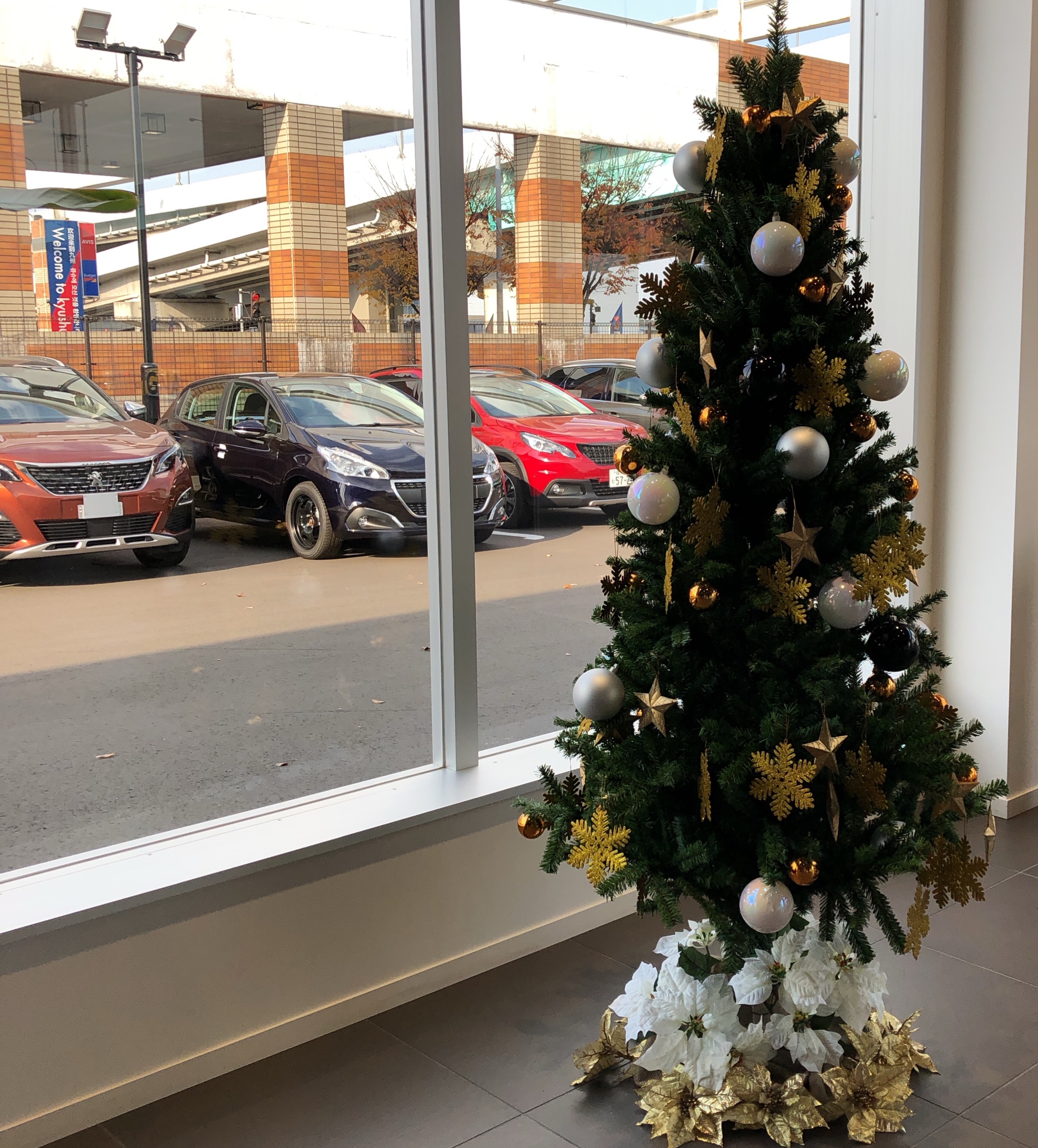 クリスマス仕様に...🎄