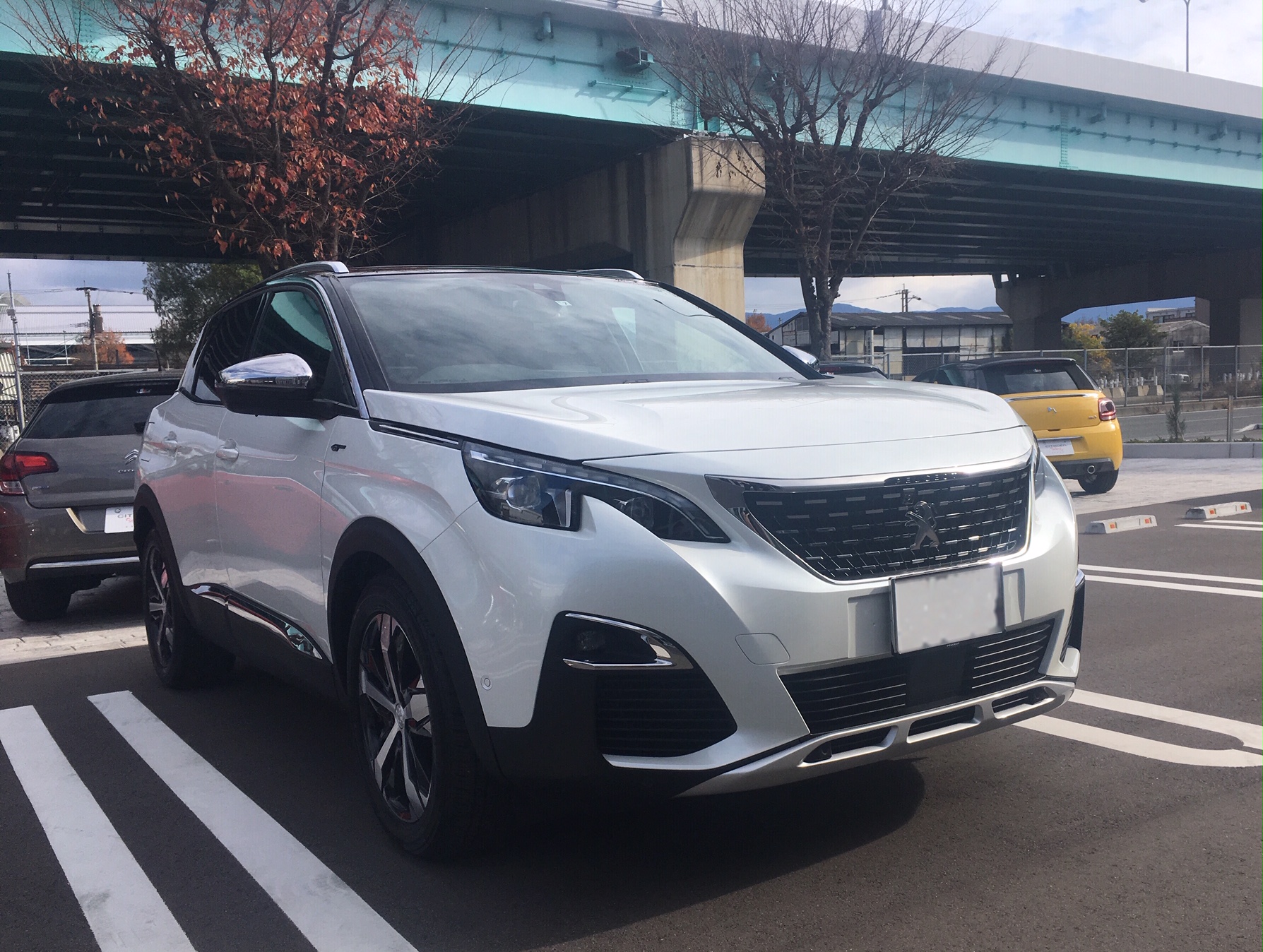 3008GT納車いたしました！