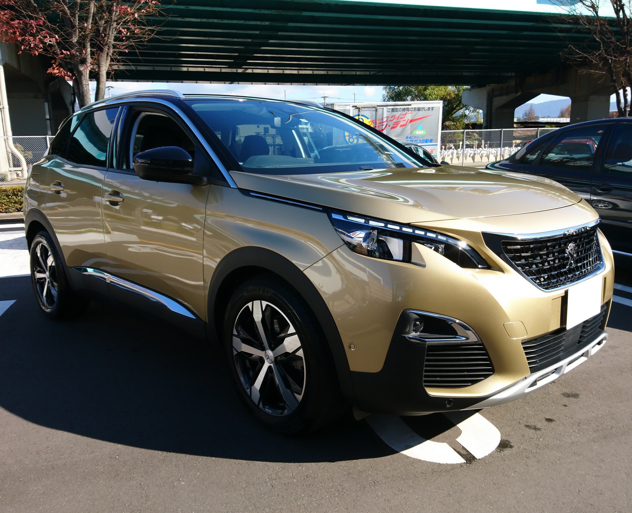 New 3008 BlueHDi Special Editionご納車です。