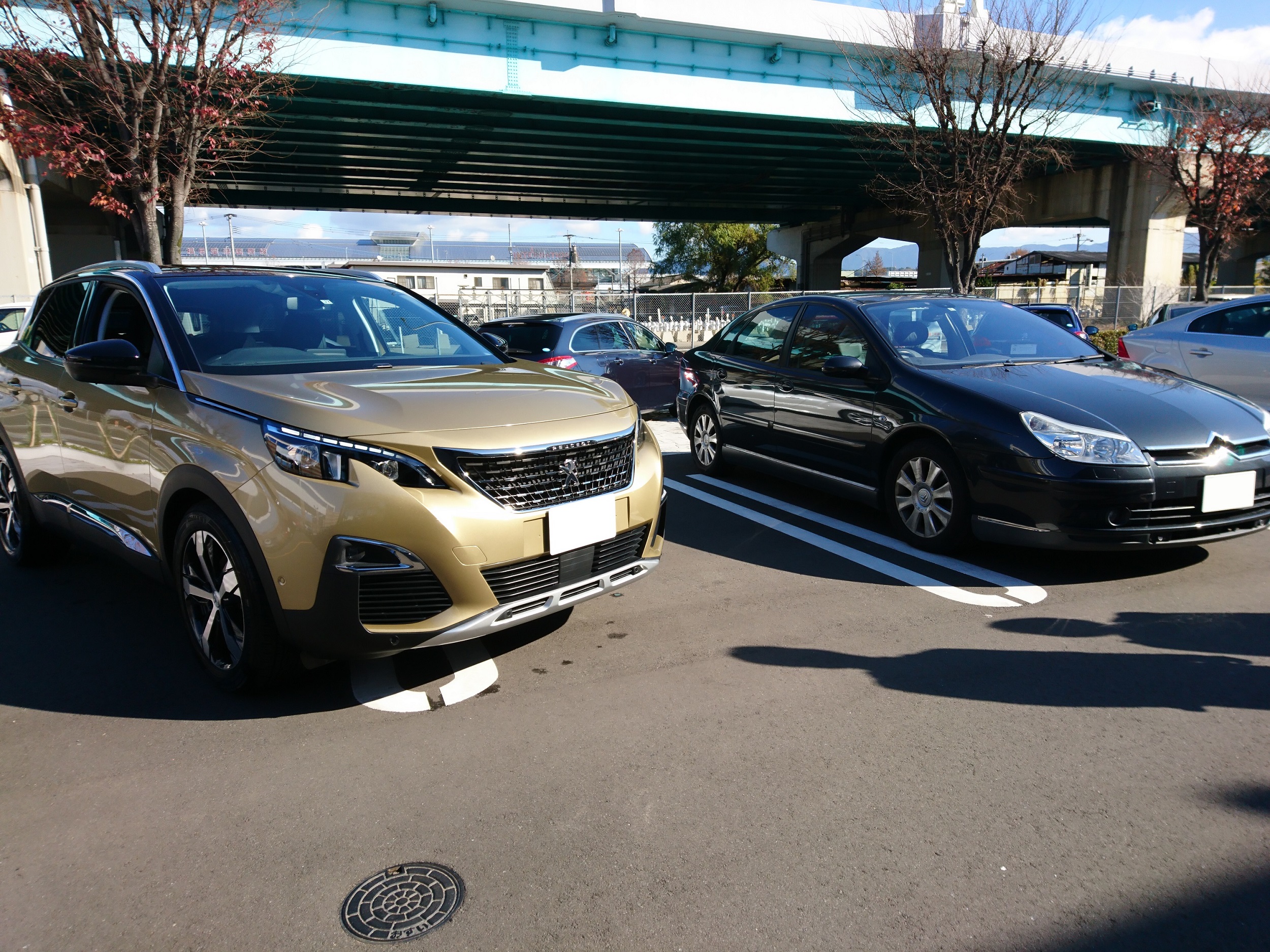 New 3008 BlueHDi Special Editionご納車です。