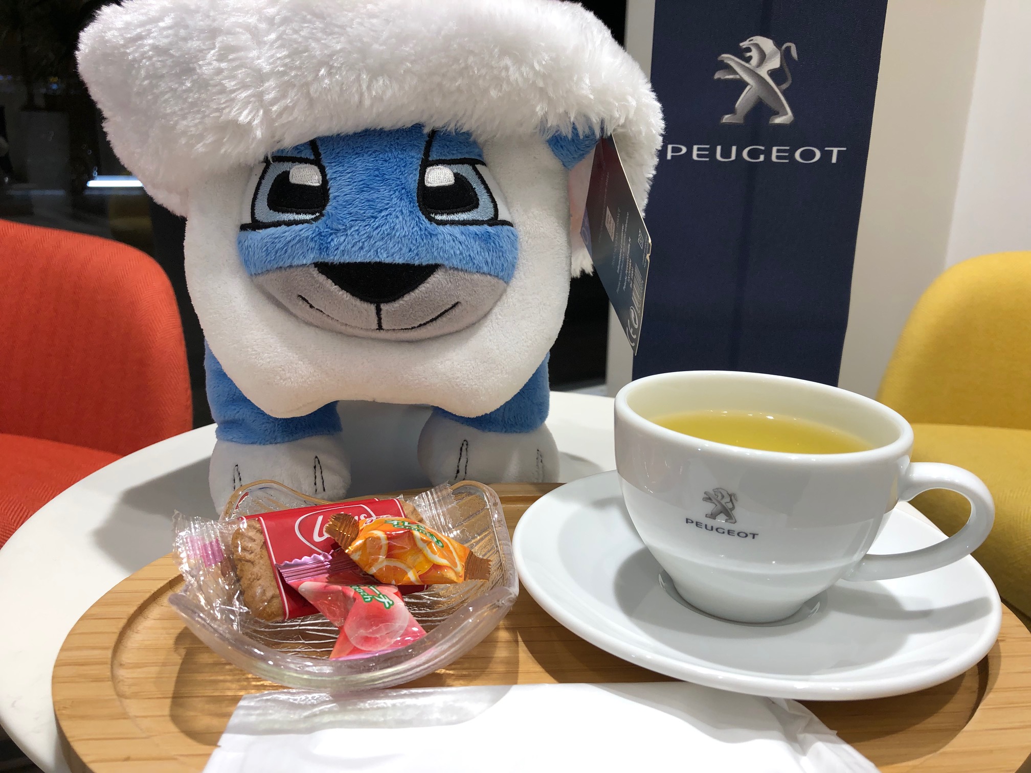 温かいお飲み物ご用意しております🌼