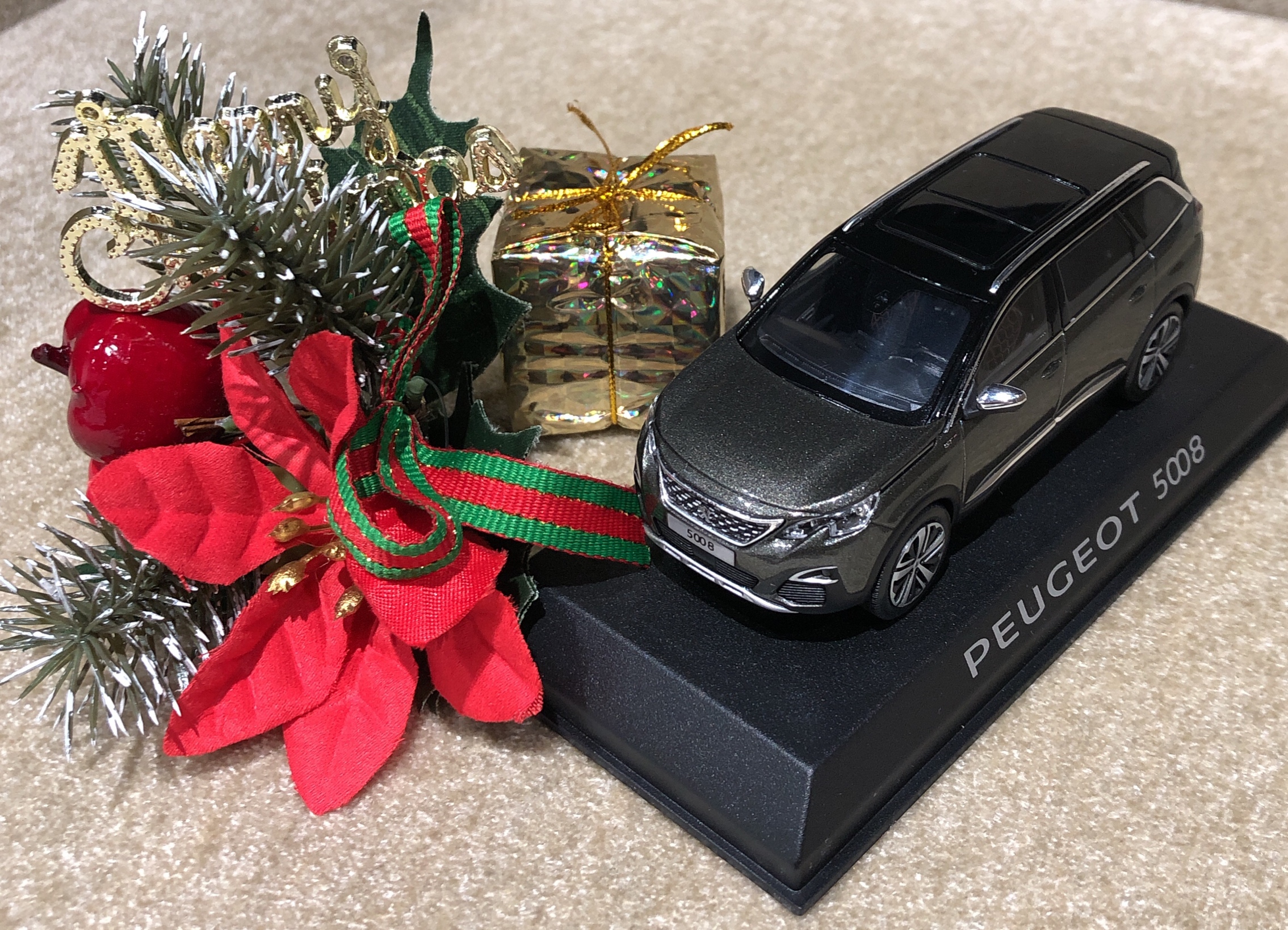 クリスマスプレゼントに🎁