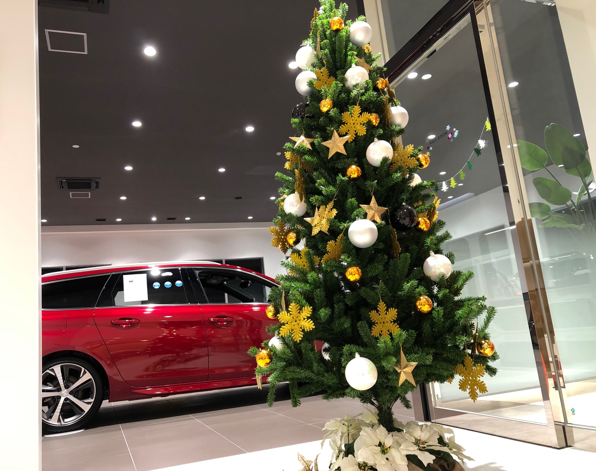 25日までです🎄