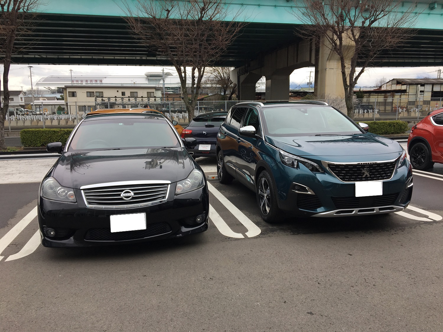 5008 クロスシティ納車致しました！