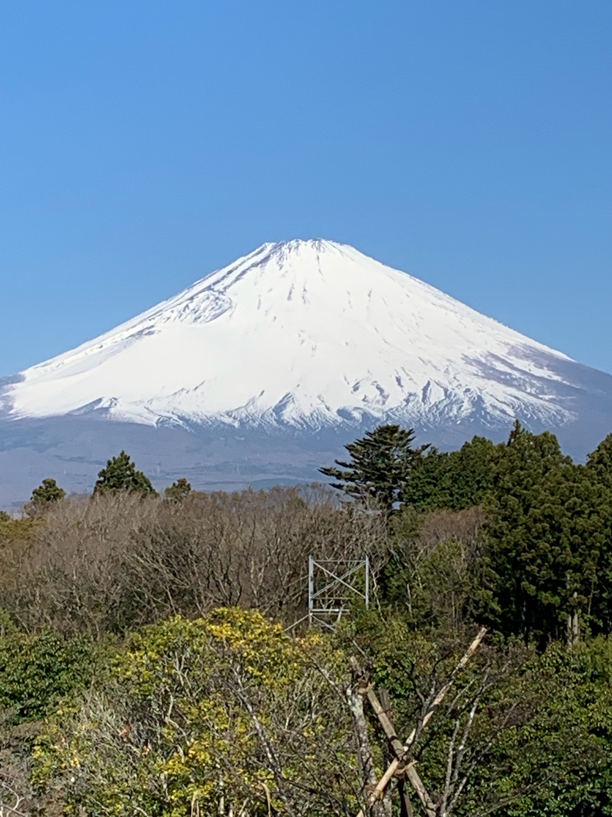 新型５０８研修に行って参りました！