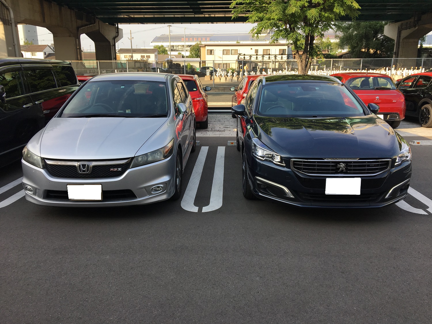 508SW BlueHDiご納車です。