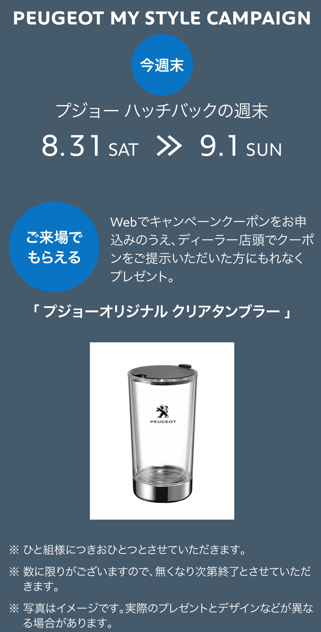 ハッチバックキャンペーン