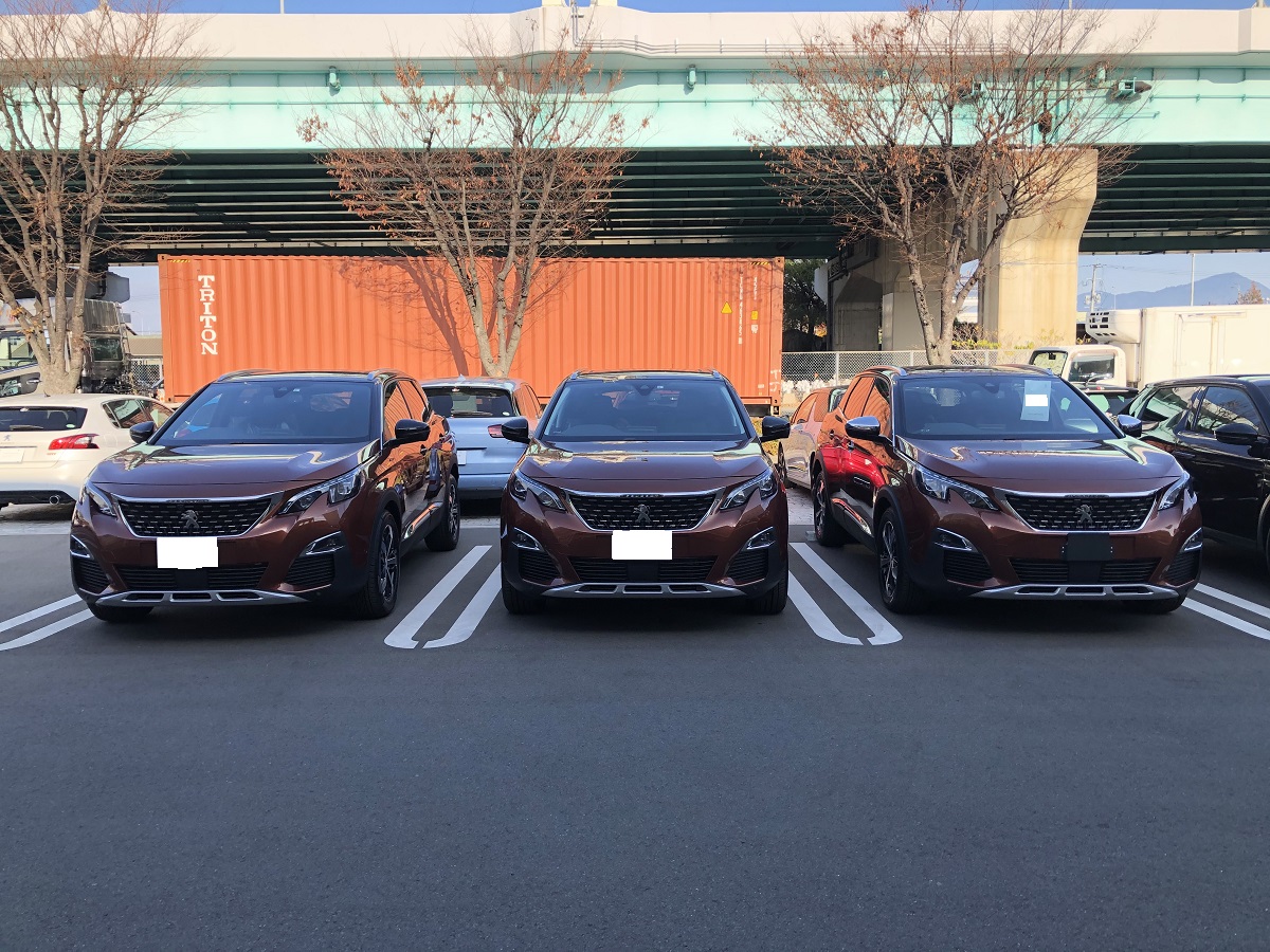 3008のグレードの見分け方！