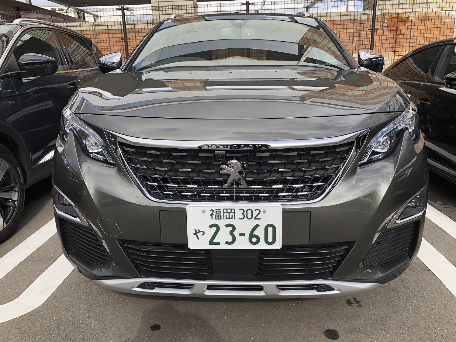 試乗車紹介