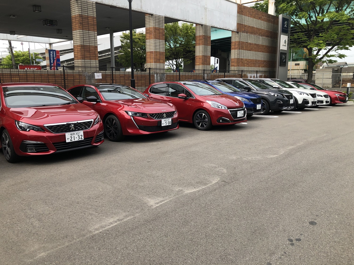 試乗車が充実してます。