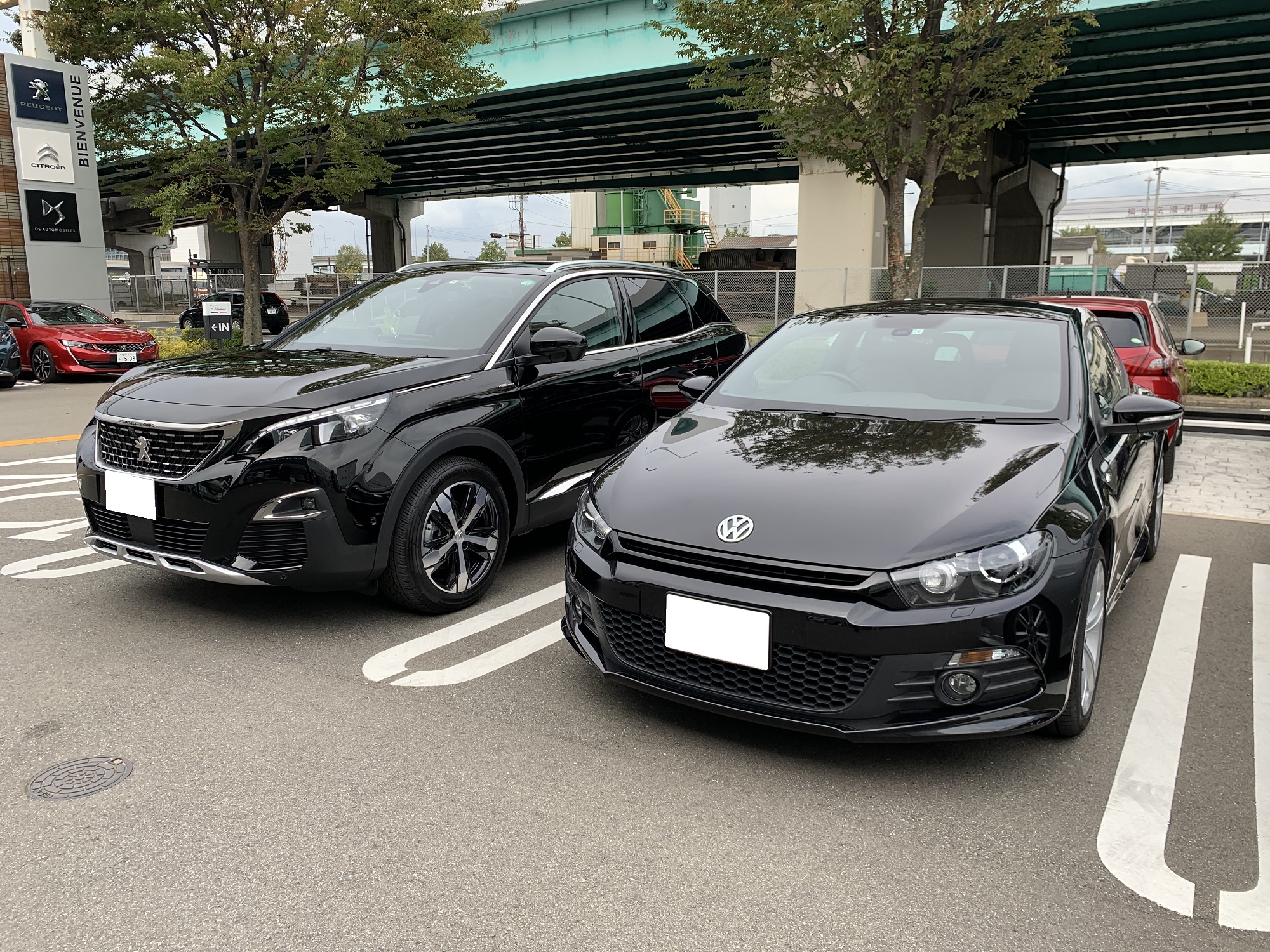 3008ご納車です