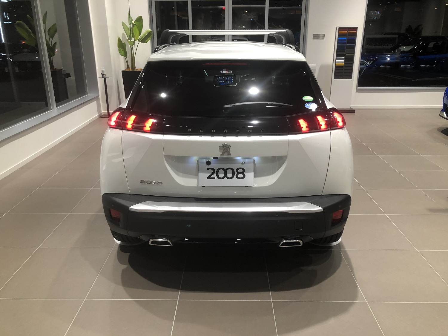 NEW2008　フェア！！