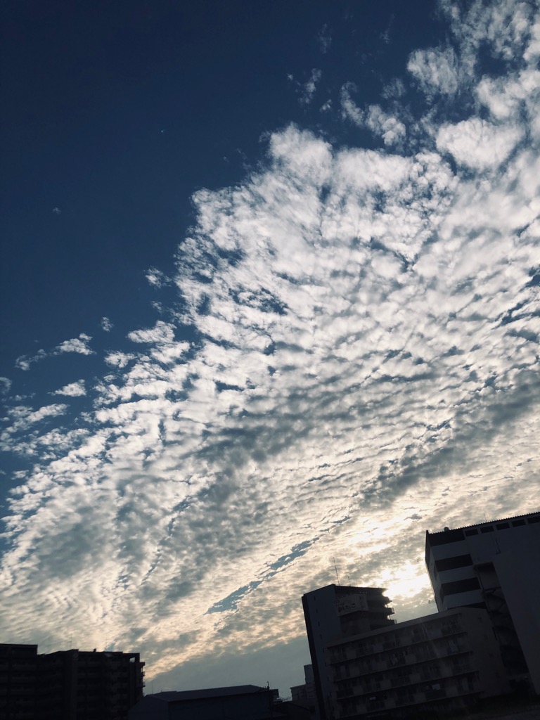 雨ですね☔