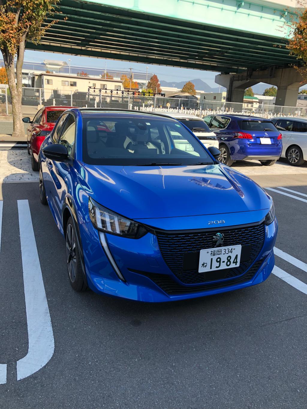 NEW208 インテリア