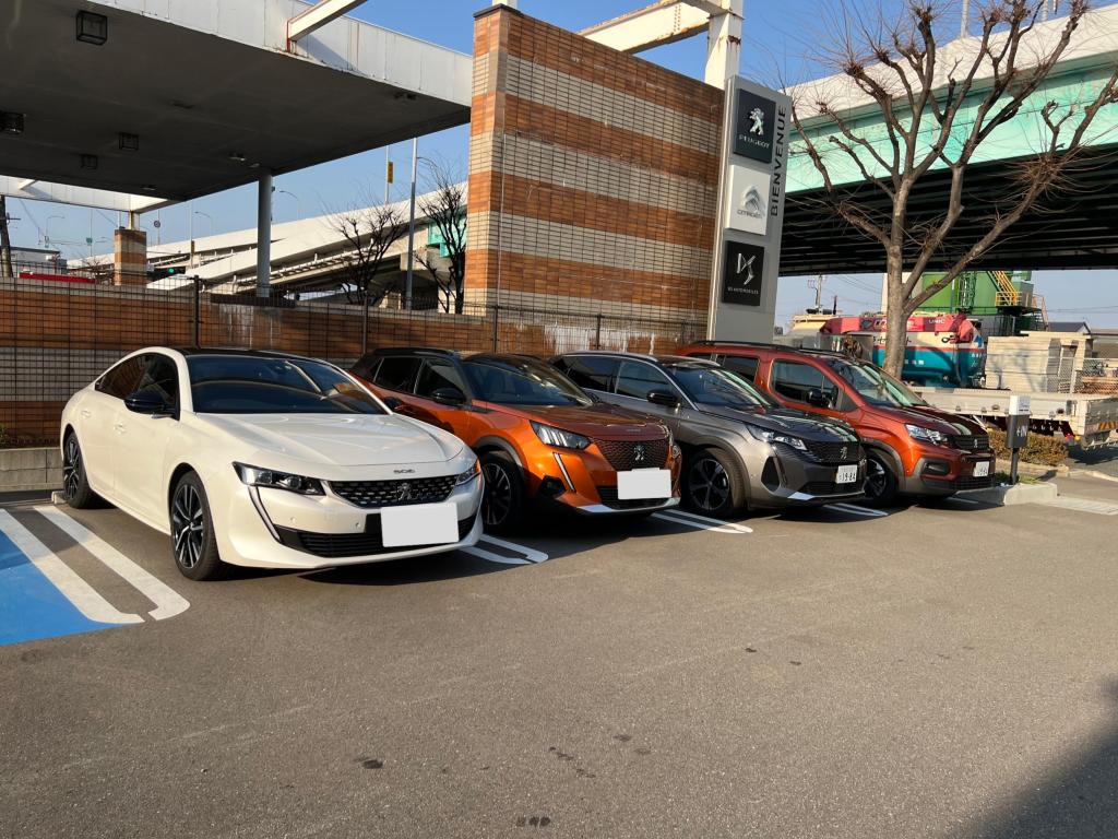試乗車のご紹介