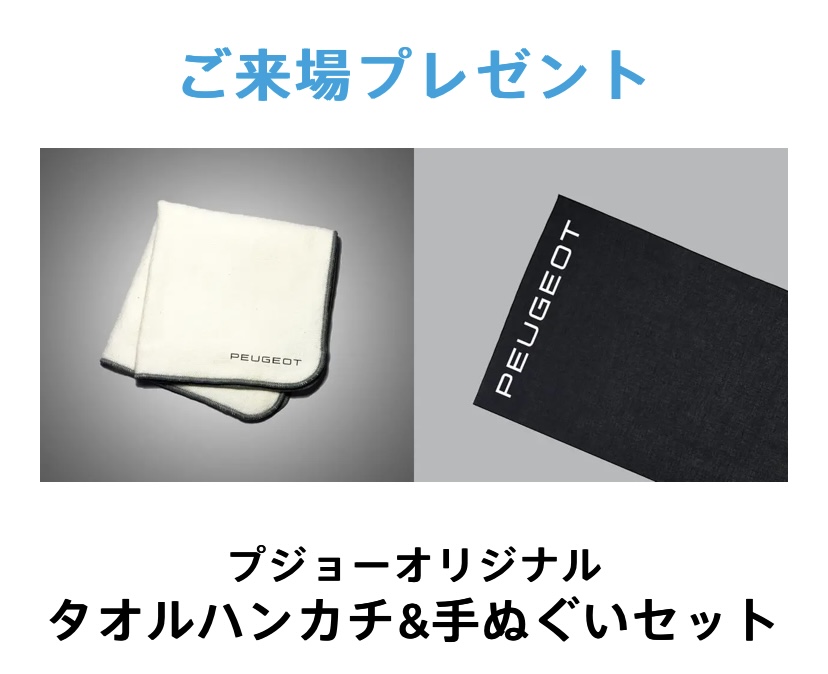 新型308ロードショー！
