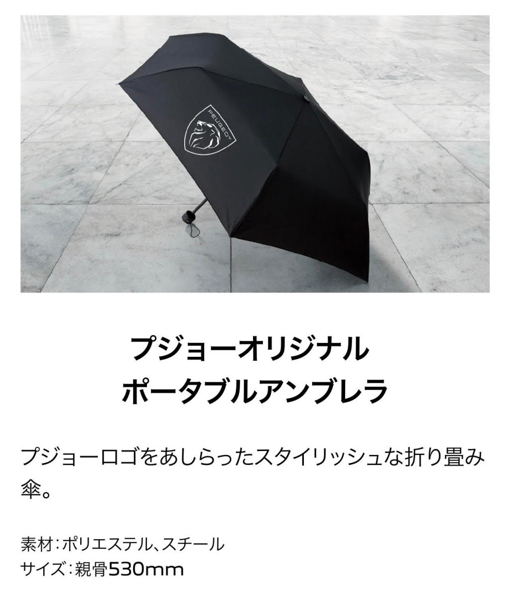 ちいさなライオンフェア