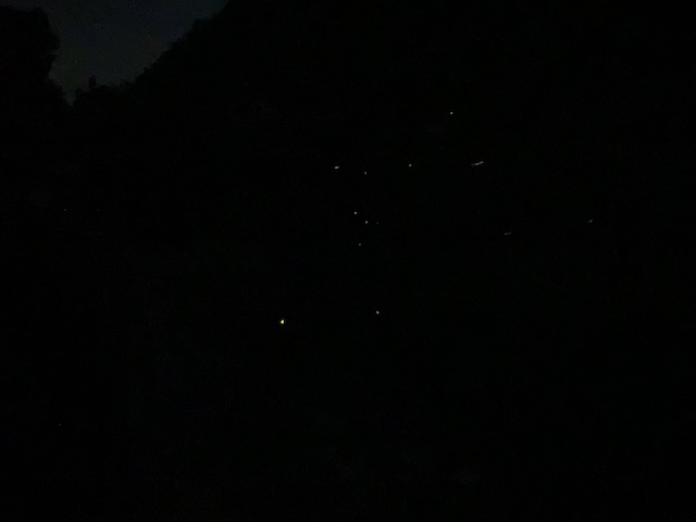 休日のすごし方