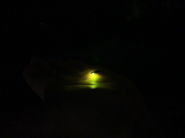 休日のすごし方