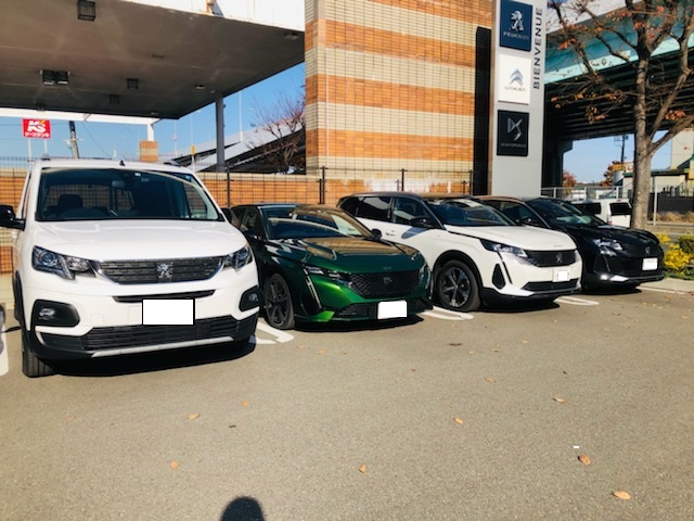 ご試乗、いかがでしょうか。