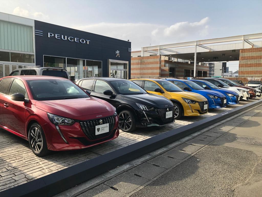 認定中古車　各車種取り揃えてます！！
