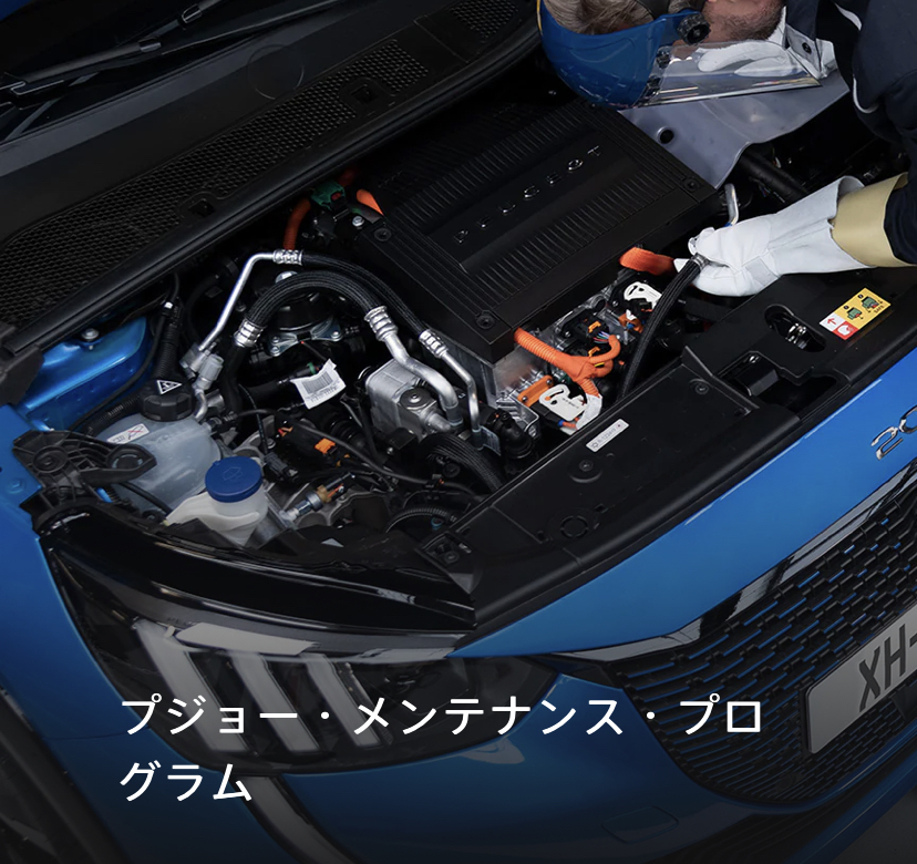 メンテナンス・プログラム