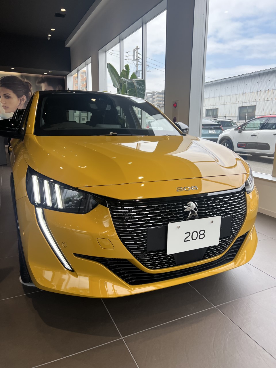 ショールーム入れ替え致しました♪♪
