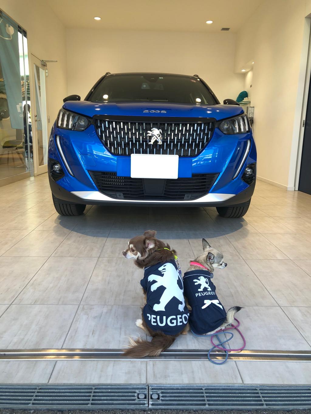 PEUGEOT　2008　納車式。