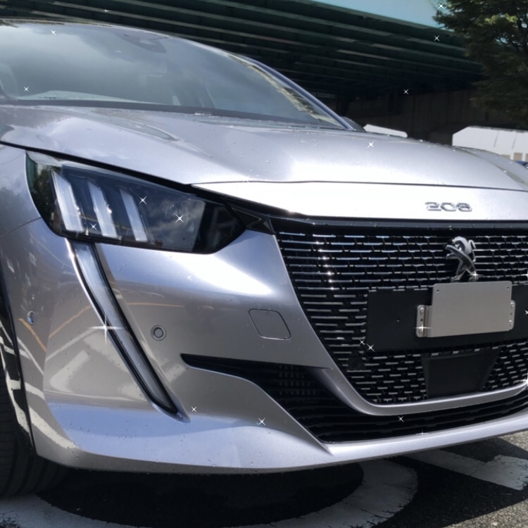 208のプレミアムエディション✨🚗【エクステリア】