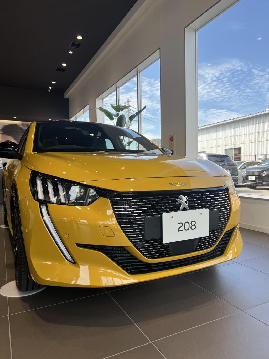 ショールーム入れ替え致しました♪♪