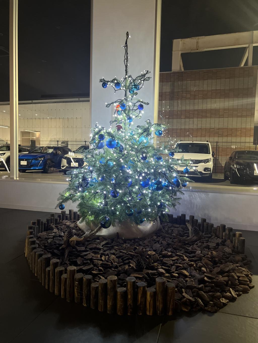 🎄クリスマスツリー🎄