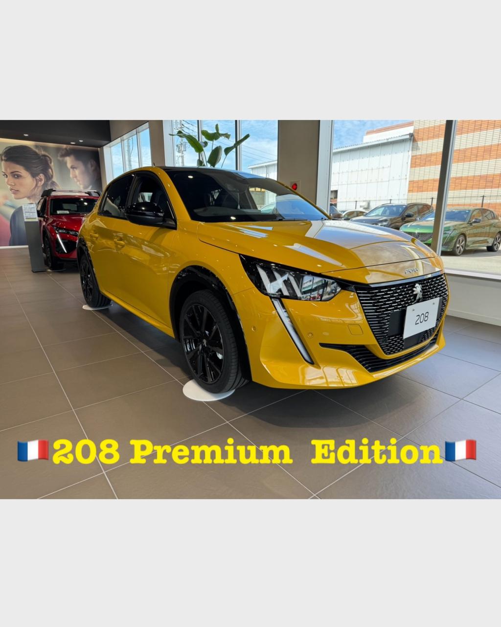 208Premium Edition（エクステリア）