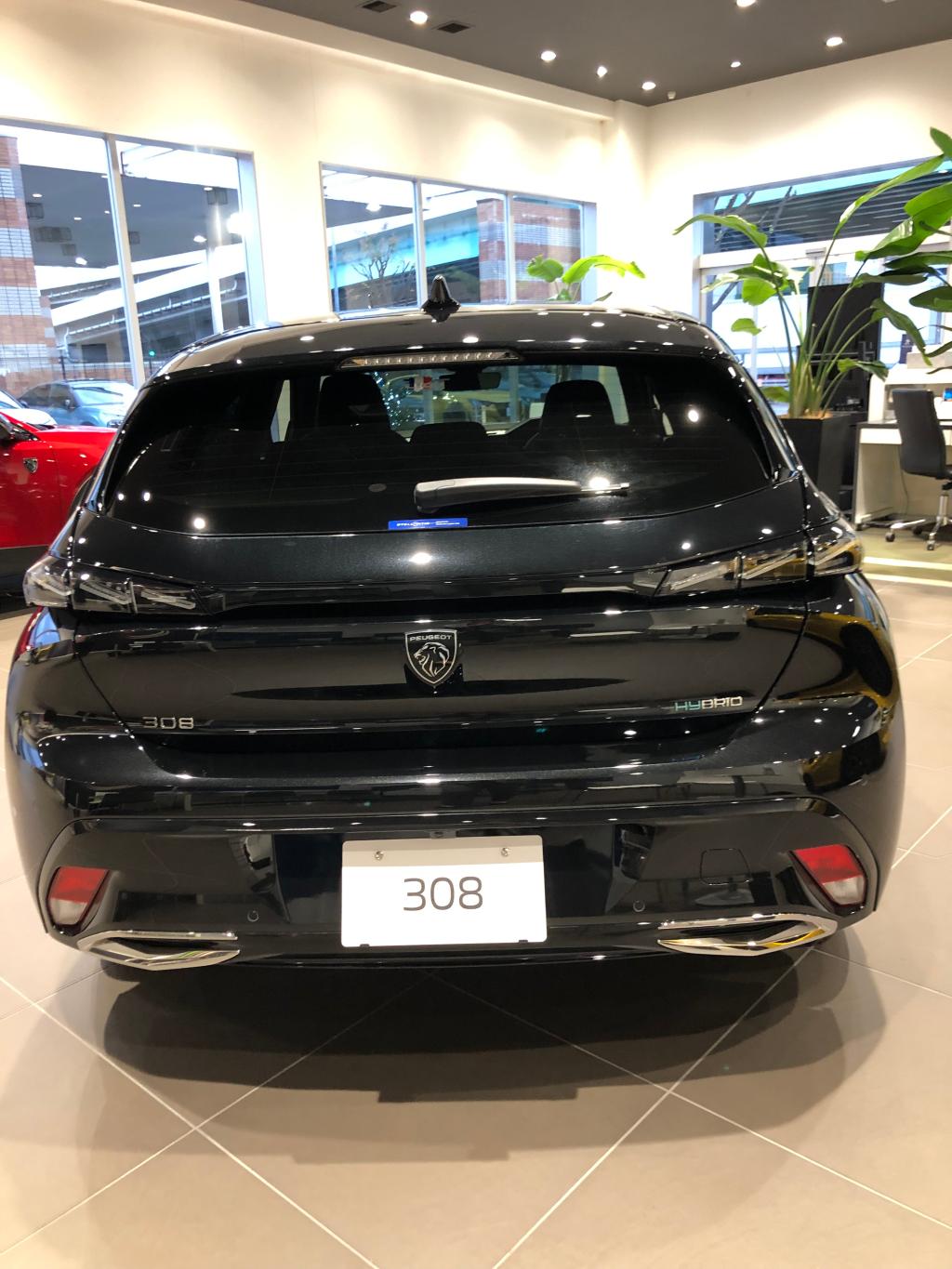 308のエクステリア🚗