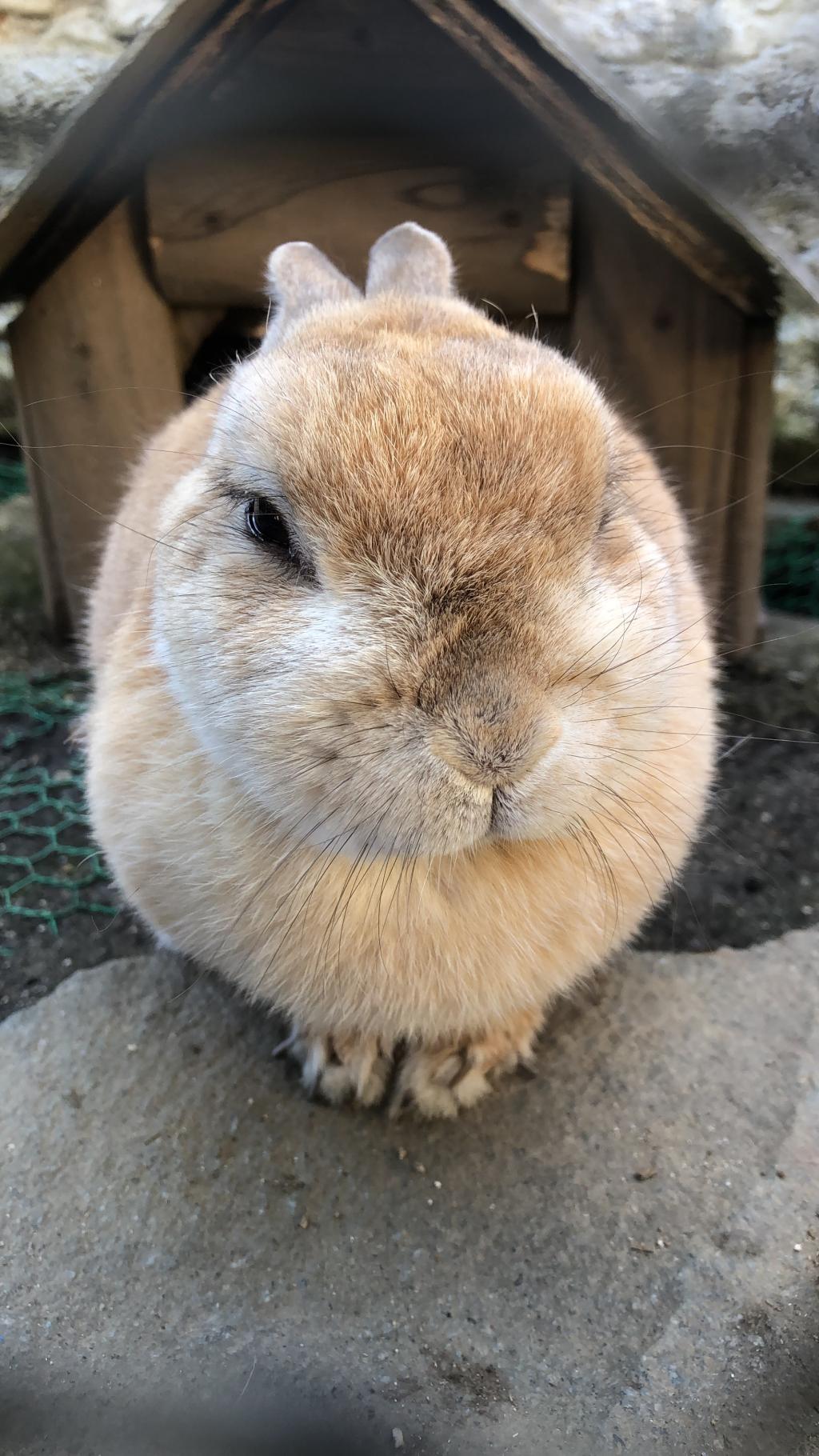 今年も残りわずか・・・☆