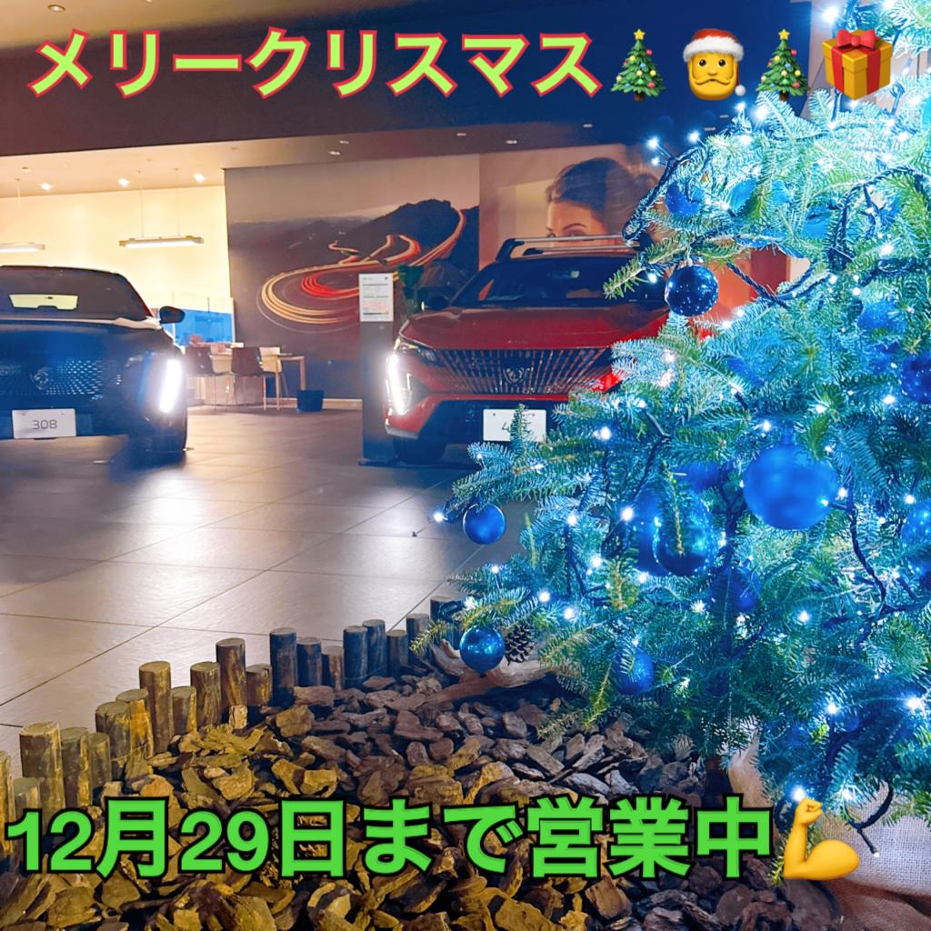 クリスマス試乗キャンペーン（試乗感）