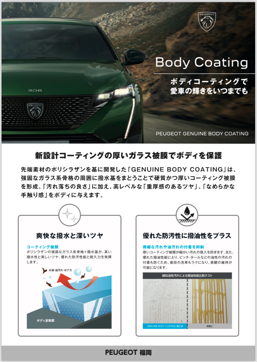 Body Coating