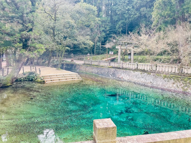 今春おすすめドライブスポット