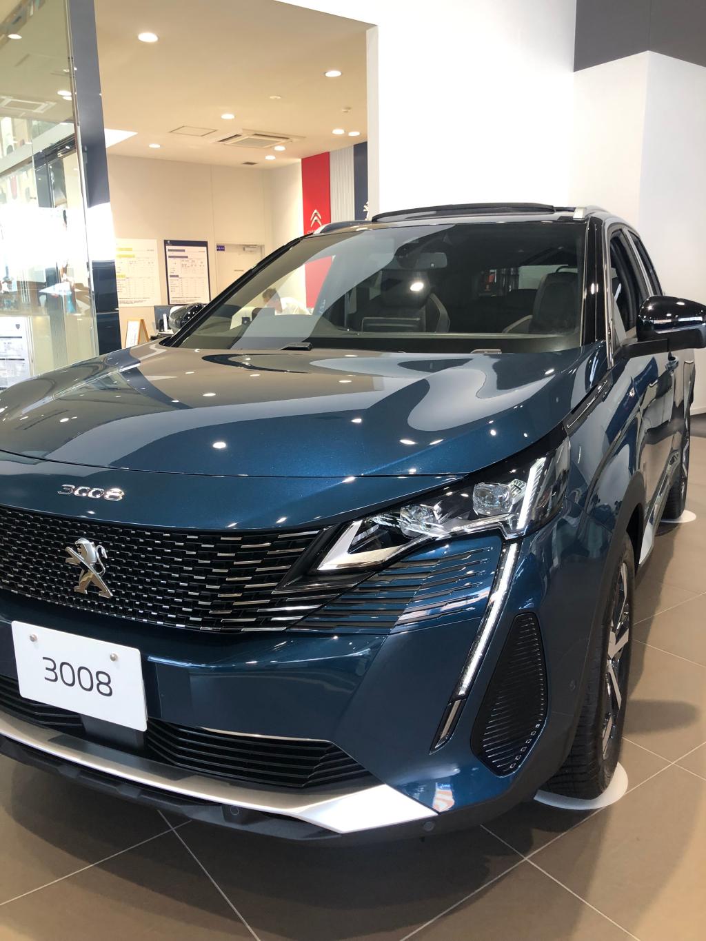 3008エクステリア ⭐️80万サポート⭐️