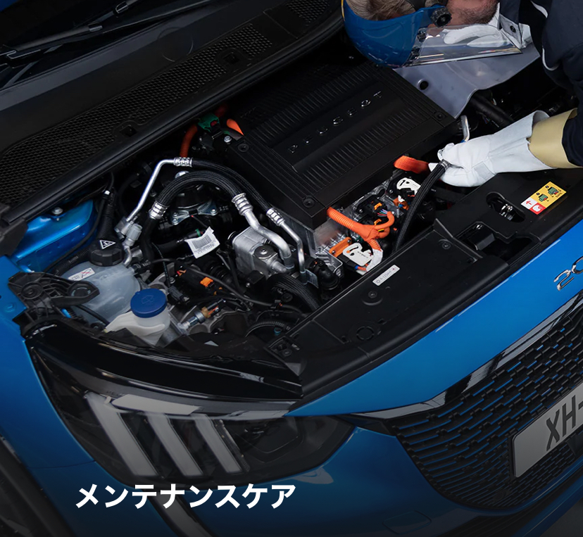 メンテナンスケア