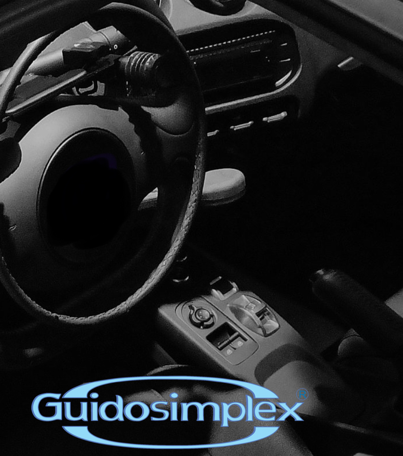 Guidosimplex’s