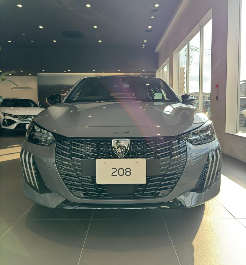 限定カラーの208が1台入荷！（エクステリア）