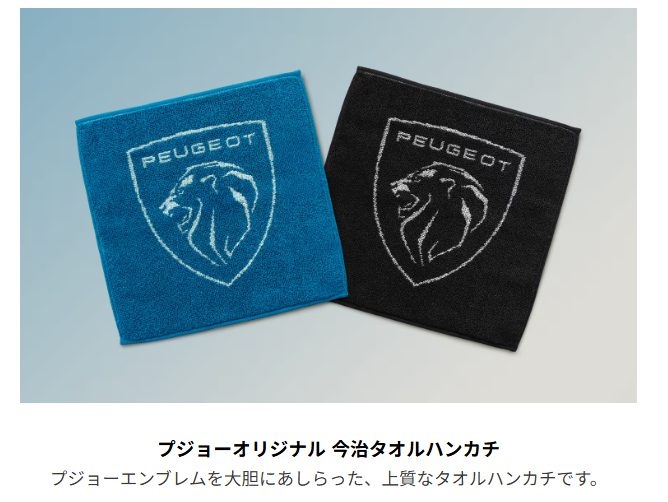 RIFTER LONG GT Kiama Blue Editionデビューフェア🌈