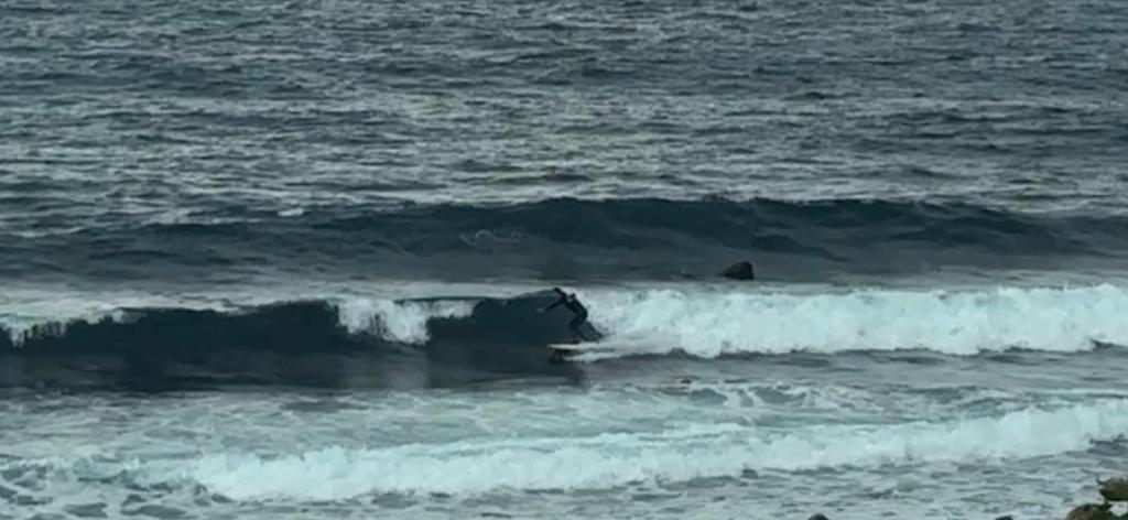 休日の過ごし方