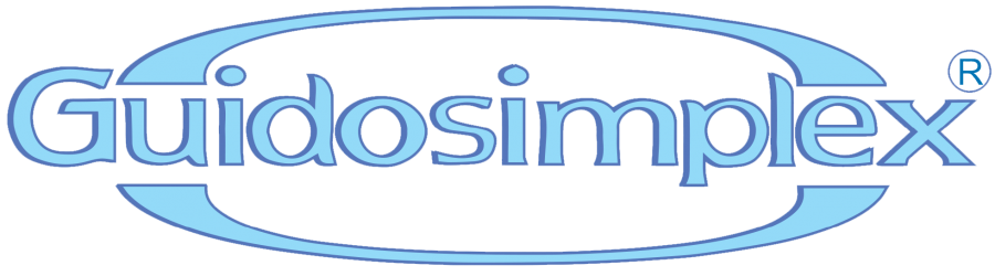 運転補助装置 グイドシンプレックスのご紹介