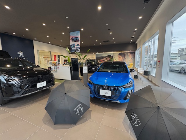 本日営業しております✨