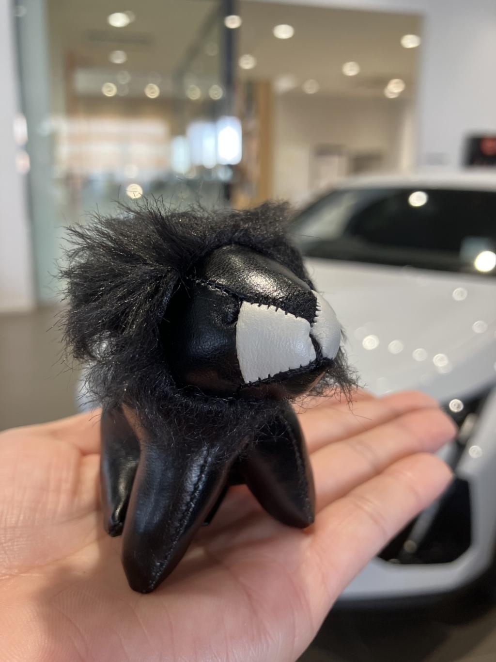 🌈NEW 5008 HYBRID デビューフェア🌈