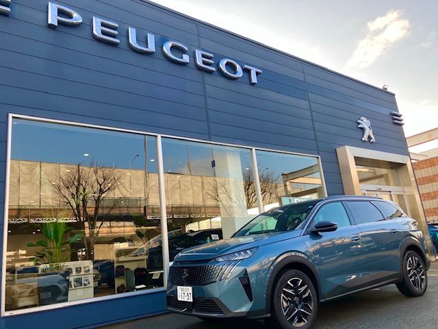 デビューフェア開催中✨3/8まで✨